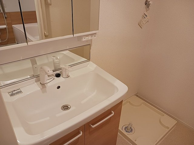 クレストガーデンⅤの洗面所