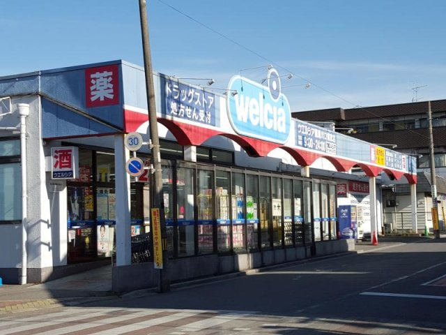 レオパレスプラムの周辺
