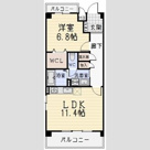 コースマスY.Mの画像