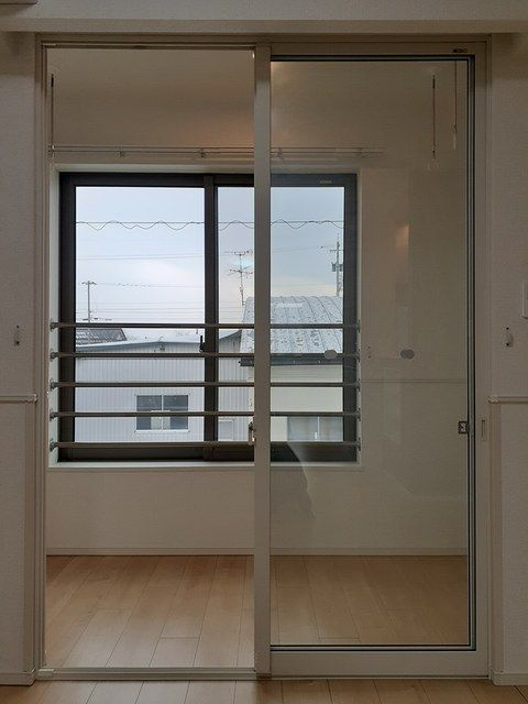 ブルースター　Ⅰのその他