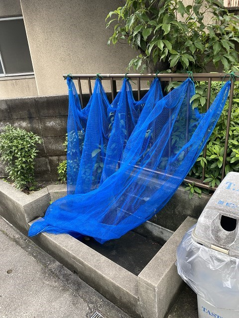 クラッセコート甲風園のその他