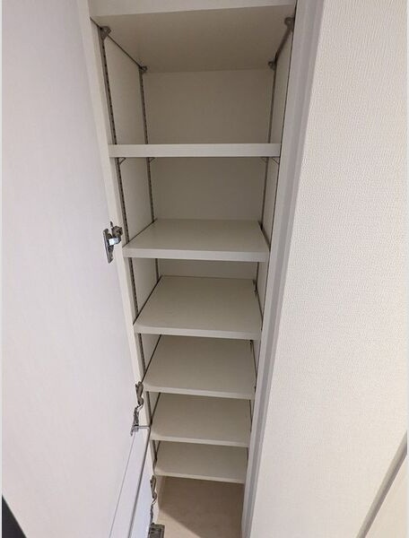 エスリード南森町ラグシスの収納