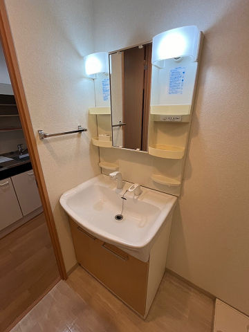 大阪市西区立売堀１丁目の賃貸マンションの洗面所