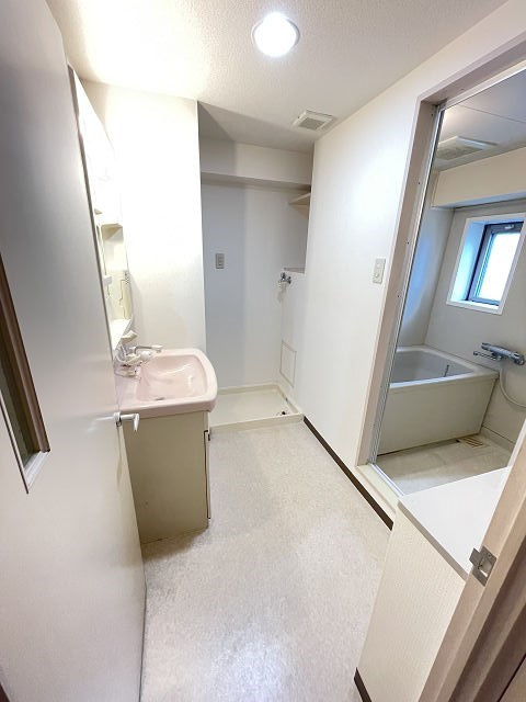 尼崎市常光寺１丁目の賃貸マンションの洗面所