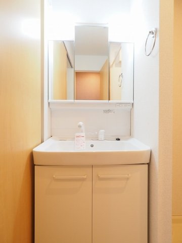 アクティフ笹賀の洗面所