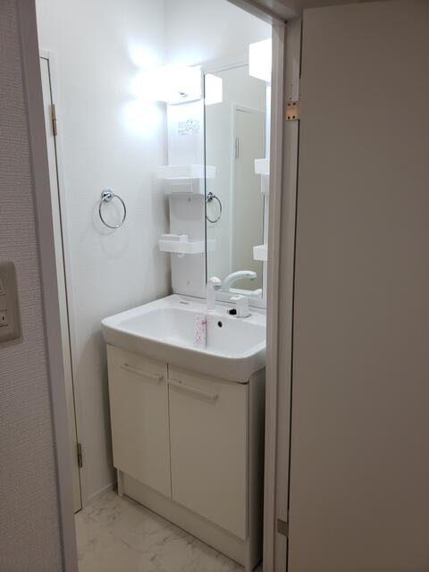 ハタノコーポの洗面所