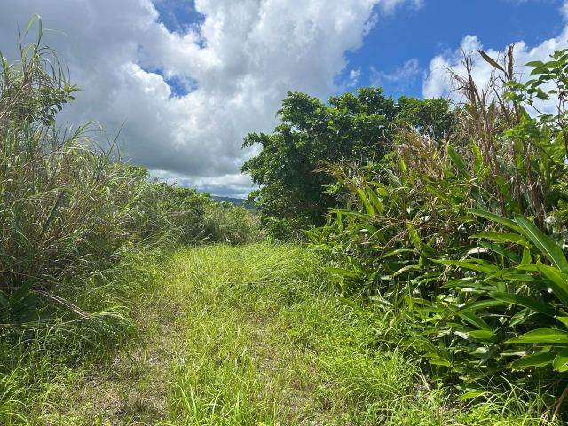 大宜味村津波土地の土地図