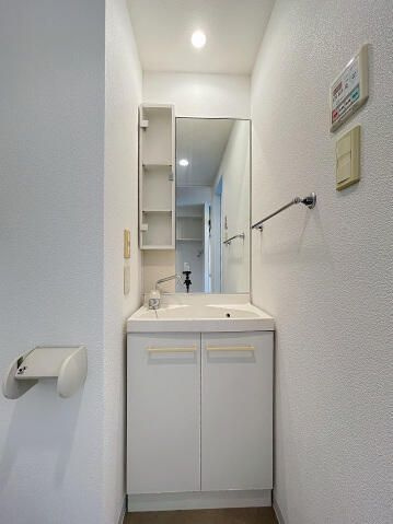 スカイコートルーベンス西早稲田の洗面所
