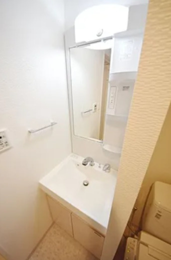 S-RESIDENCE新御徒町Westの洗面所