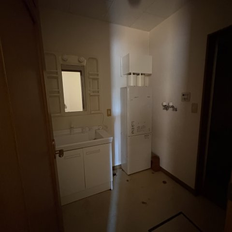 パレス美園の洗面所