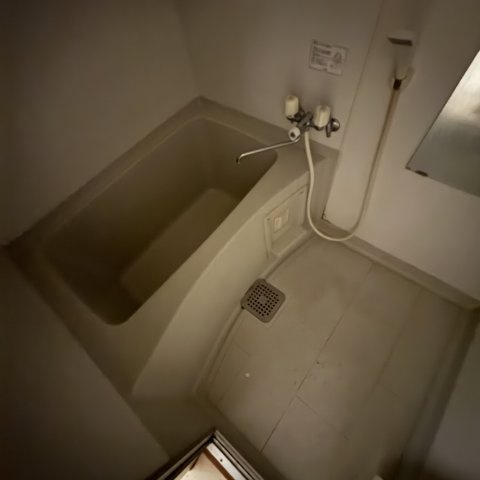 パレス美園の浴室