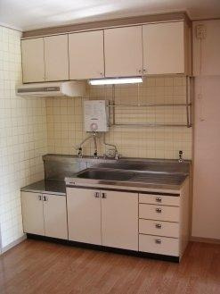 福岡市南区中尾３丁目の賃貸マンションのキッチン|物件の画像4