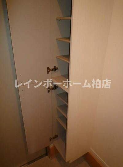 特典：仲介手数料が無料です!!のその他