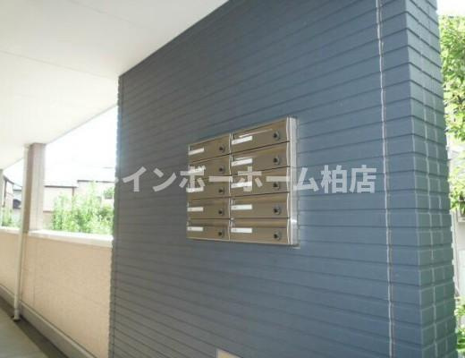 特典：仲介手数料が無料です!!のその他