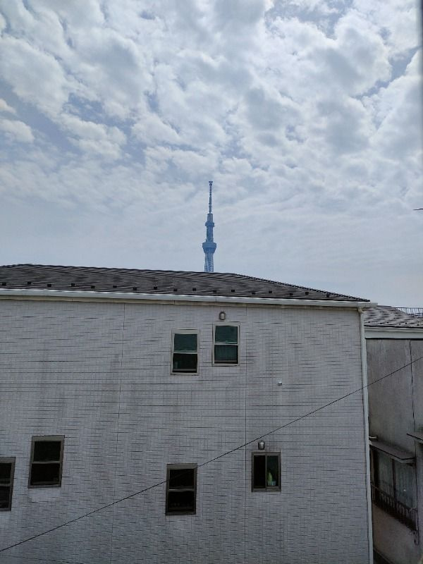 アール・デ・ココ東向島の展望