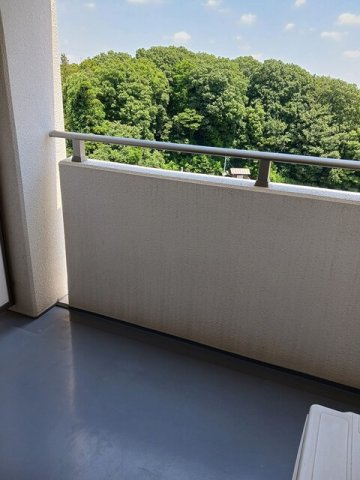 セントラルパーク　ウッズのバルコニー