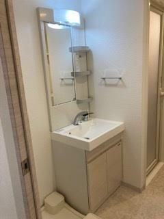 S-RESIDENCE新御徒町Eastの独立洗面台