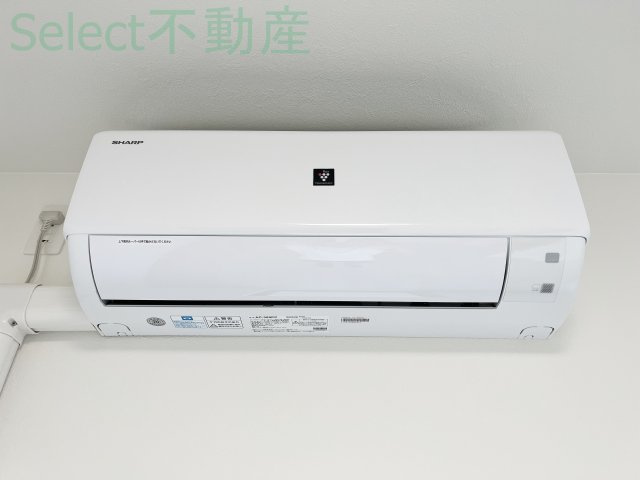 リップルズのその他