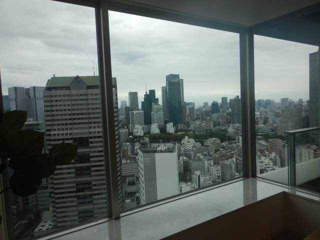 Park Court Akasaka The Towerの展望