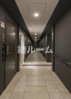 板橋区小茂根４丁目の賃貸マンションのロビー