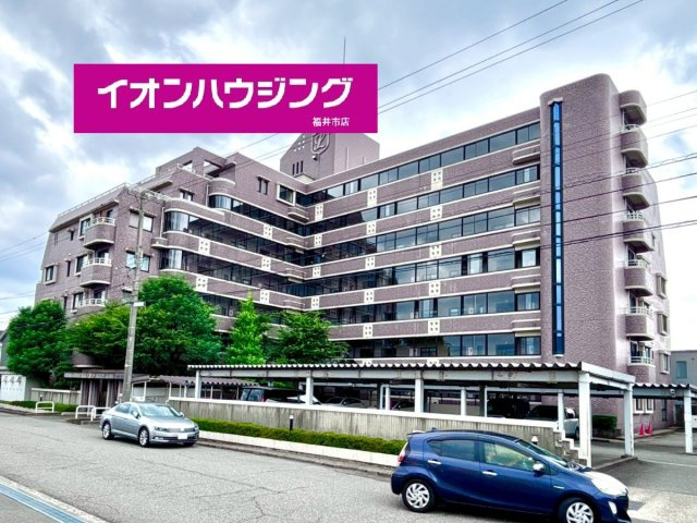 ロアール高木