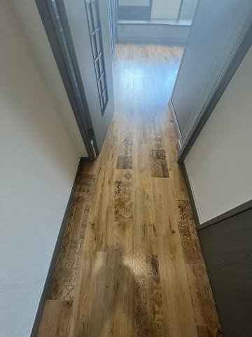 福岡市南区大楠１丁目の賃貸マンションの玄関