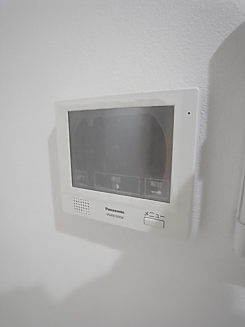 フィジーのセキュリティ