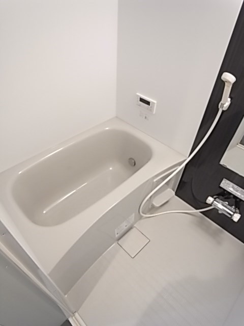 フィジーの浴室