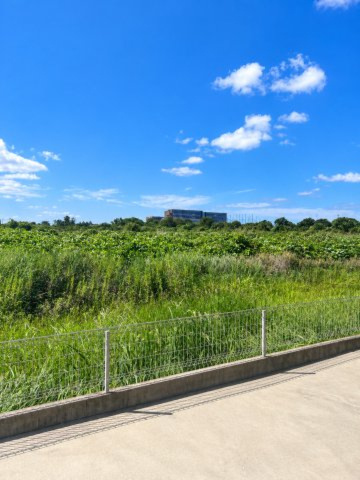 大塩町　中古一戸建ての周辺|南側に建物がなく日当たり・眺望良好です。