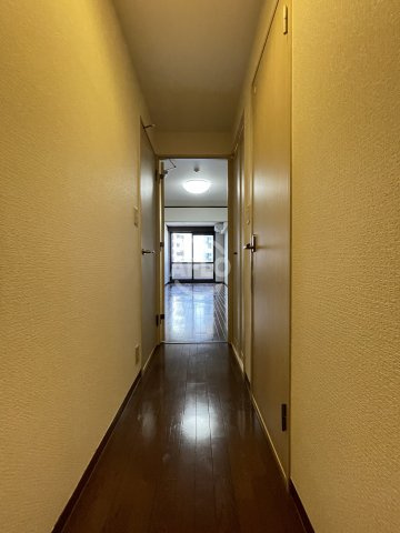 ゼフェロス南堀江の玄関|ゼフェロス南堀江 　廊下