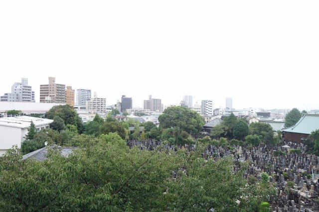 ルフォンリヴェント西巣鴨の展望