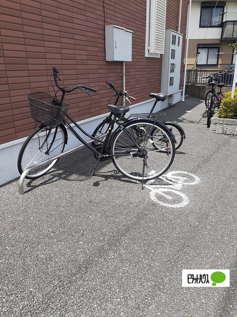 ノーヴァのその他