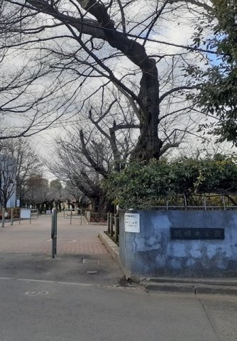 Ｌｕｃｉｒ（ルシール）の周辺|羽根木公園まで500m