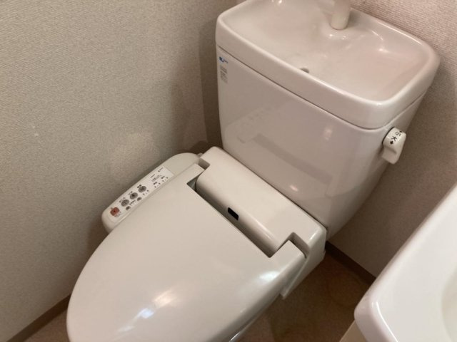 スカイコート四谷【おとり物件なし】#学生・社会人にオススメ！初期費用分割払いOK！のトイレ