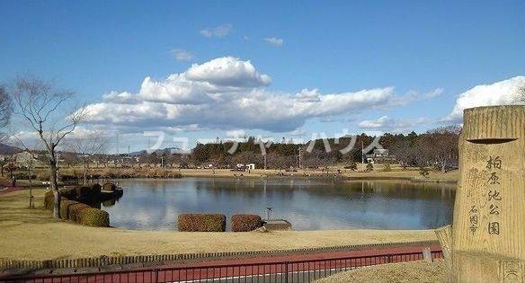ヴィラ　コンチェルトの周辺|柏原池公園まで650m