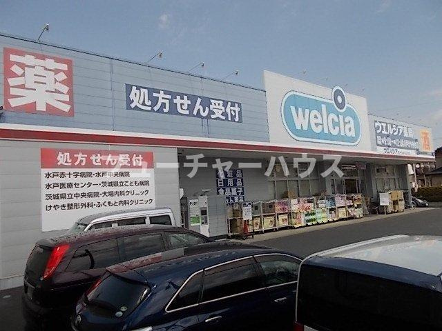 ルピナスⅡの周辺|ウエルシア　けやき台店まで1400m