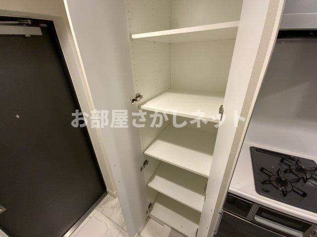 プラシア蒲田 ＴＨＥ ＧＲＡＮＤ ＲＥＳＩＤＥＮＣＥの収納