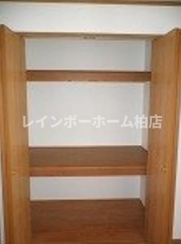 特典：仲介手数料が50％OFFです‼の収納|こまごまとしたものを収納できそうですね