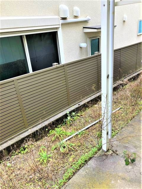 グリーンテラスの展望