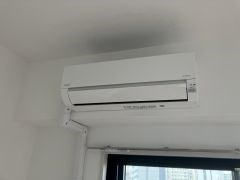 Caisse大橋のその他