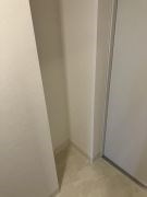 Caisse大橋のその他