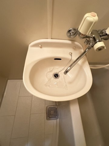 クレセール平和の洗面所