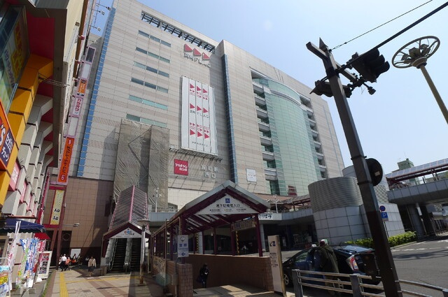 エルドラード常磐町|ドラッグストア