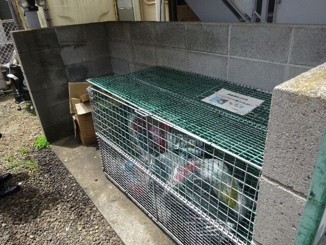 葵マンションのその他共用部分