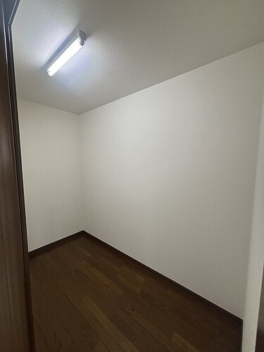 世田谷区奥沢８丁目戸建ての収納|1F   ウォークインクローゼット（内装後）