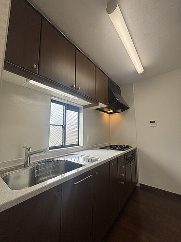 世田谷区奥沢８丁目戸建てのキッチン|2F  キッチン（内装後）