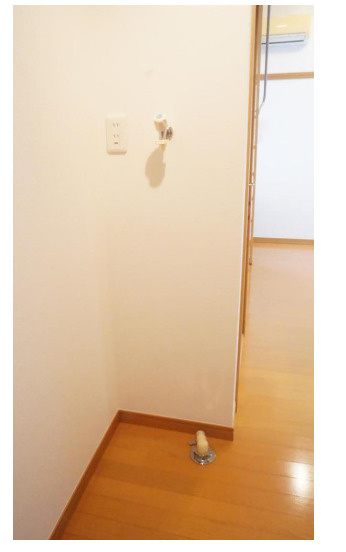 杉並区高円寺南５丁目のアパートのその他|※別部屋参照