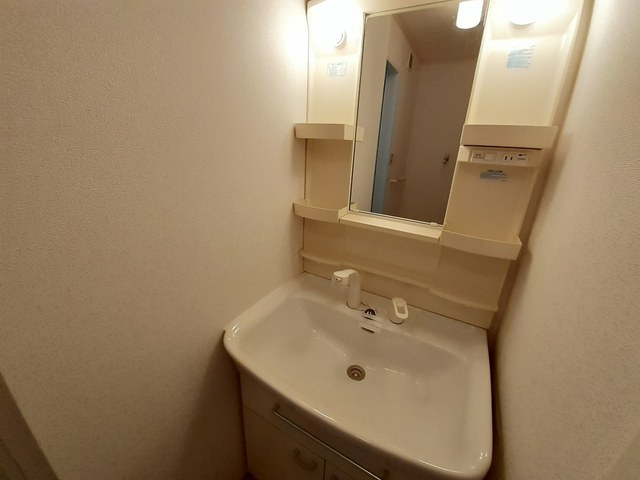 インテックスⅧ番館の洗面所
