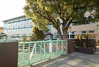 セレッソ八幡Ⅰの周辺|八南小学校まで1150m