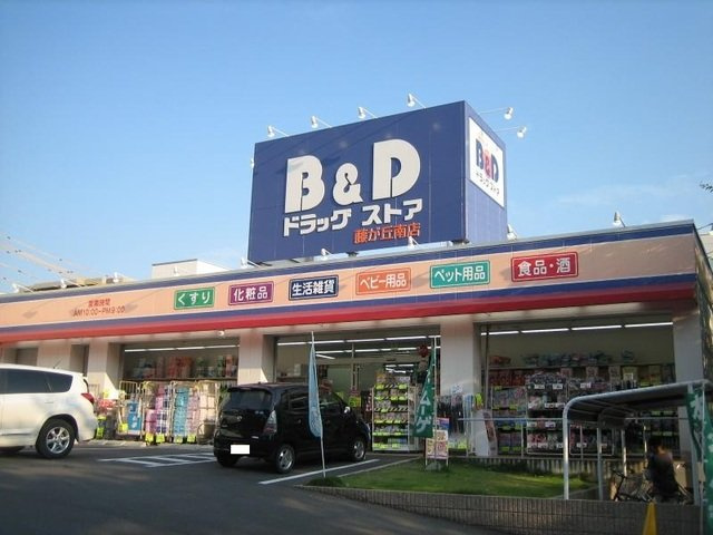 エボルシオン東光　Ａの周辺|B&Dドラッグストアまで320m